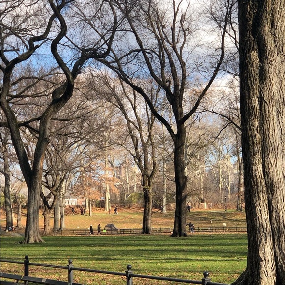 Meet your Posher, Maya - Picture 1 of 1